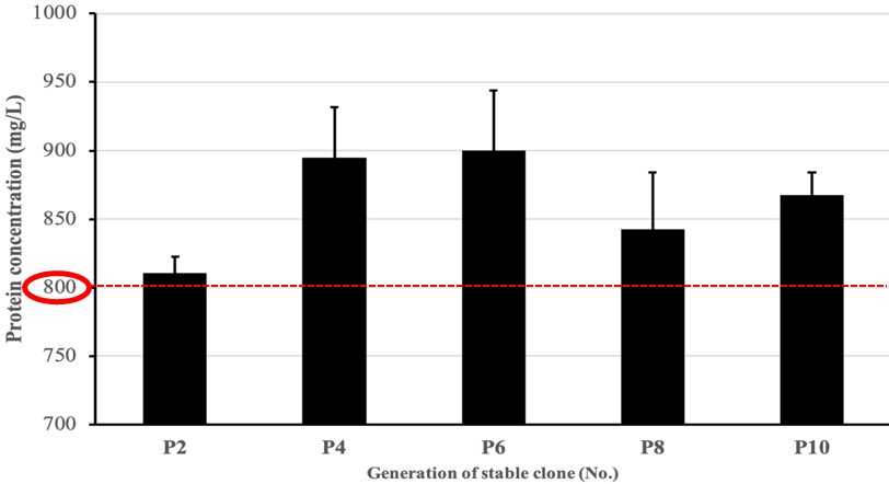 於哺乳類細胞株中穩定產出可溶性E2蛋白